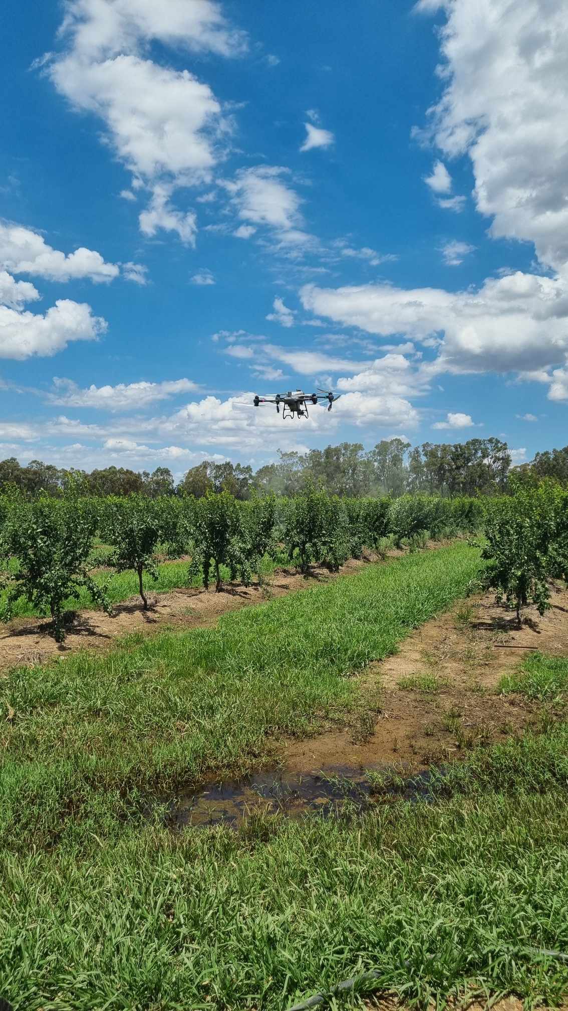 470891688 561997530074401 1347463054472768897 n (1)